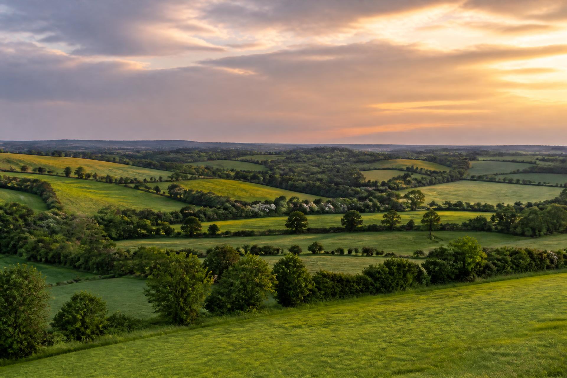 The hills around Oxton in spring