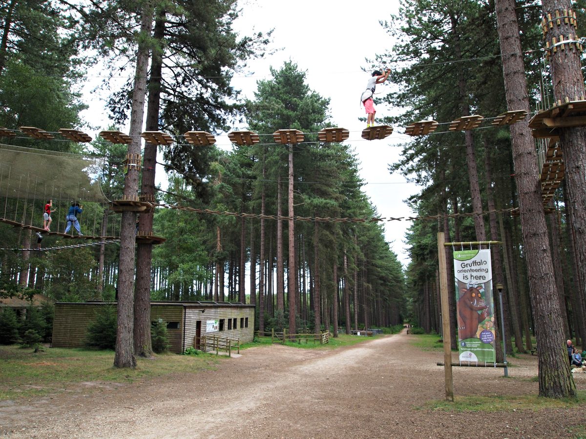 The Go Ape treetop course among the pines at Sherwood Pines