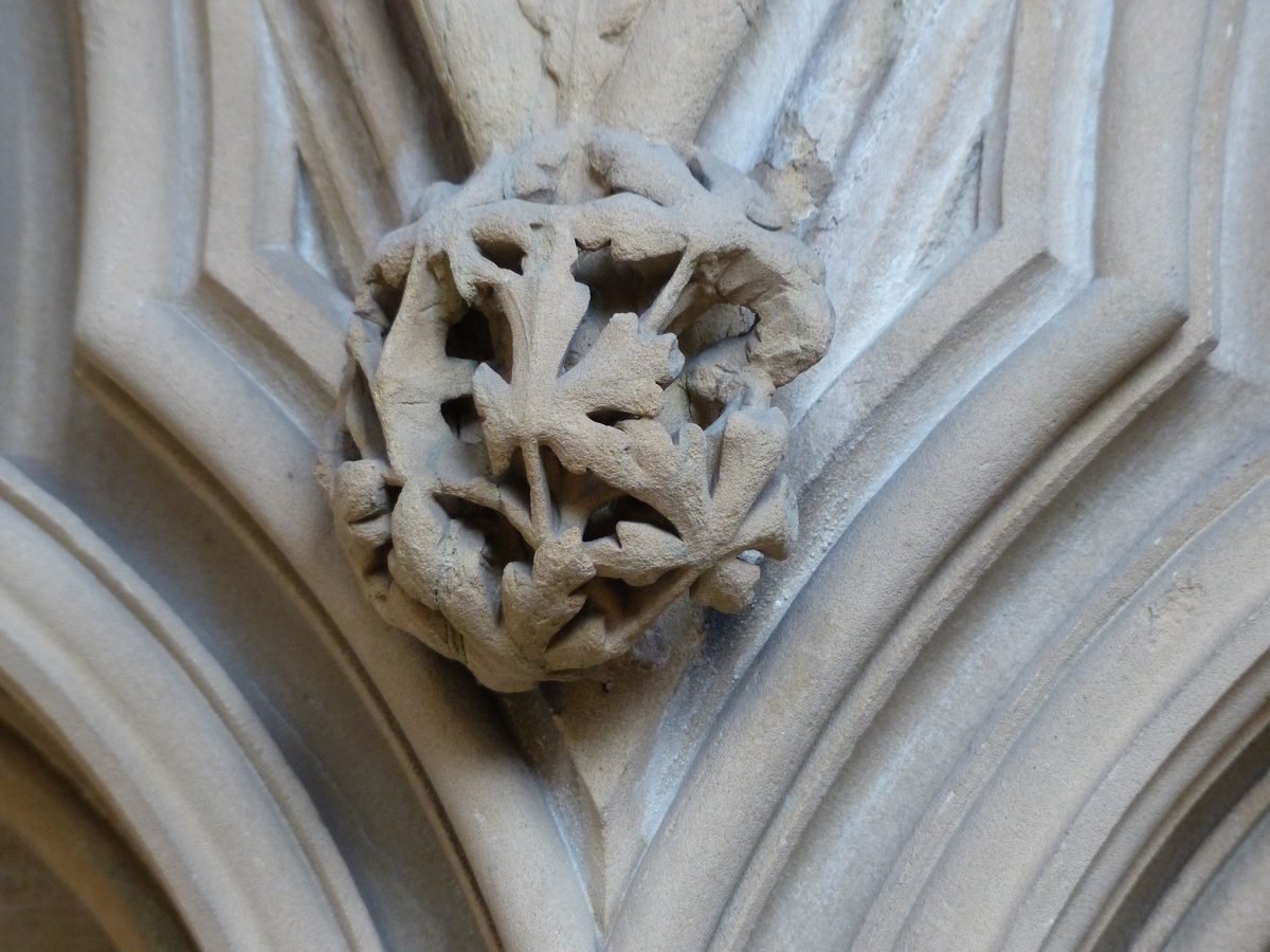 The carved stone leaves of the Southwell Minster chapter house